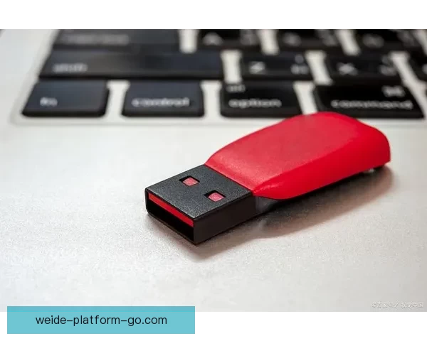 伟德登录入口最新指南详解助您轻松访问平台及账户管理技巧